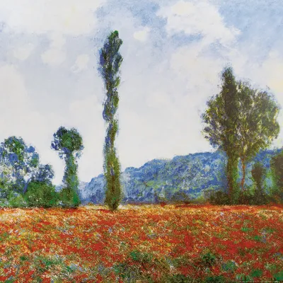 Zdjęcie produktu dla Claude Monet Art Print Obraz - Pole maków w Giverny, 1890 (70 x 70 cm)