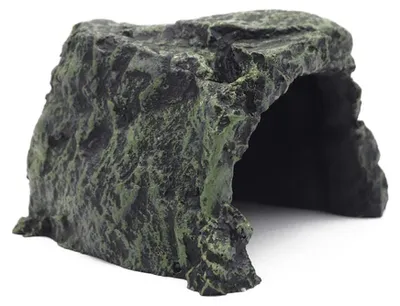 Image de Abri naturel pour reptiles et poissons