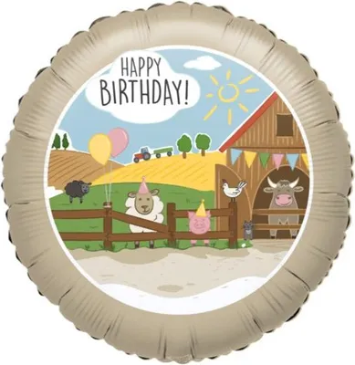 Produktbild von Farm Party Folienballon 43cm