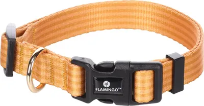 Produktbild von Flamingo Halsband Noekie gelb, Größe: M