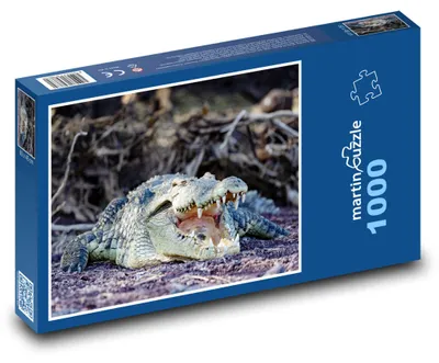 Obrázek produktu pro Puzzle 1000 Krokodýl v divočině - martinpuzzle