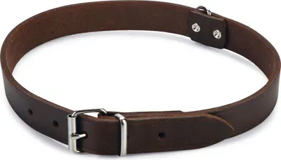 Produktbild von Beeztees Hundehalsband Leder braun, Verstellmöglichkeit: 55 - 65 cm