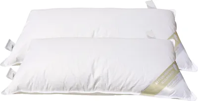 Produktbild von 2 Stück Betten Hofmann Luxus 3-Kammer Kopfkissen 40x80 stabil weiche Daunenhülle