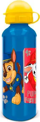 Image de Gourde en aluminium Paw Patrol 530 ml - Sûre & Robuste