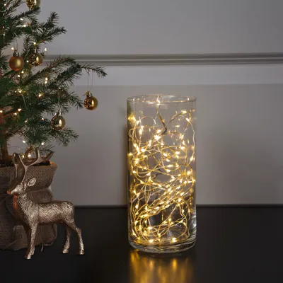 Produktbild von EGLO LED-Lichterkette, 100 LEDs, 5m, warmweiß, 230V, silber, 1 Stk.