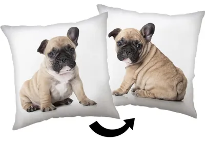 Obrázek produktu pro Polštářek Bulldog 40x40 cm