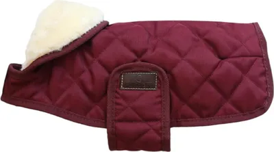 Obrázek produktu pro Kentucky Dogwear kabát pro psy 160g