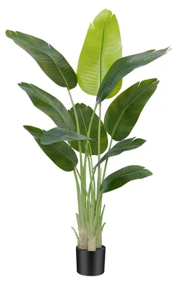 Image de Fleur d'oiseau de paradis artificielle, grande (150 cm), palmier tropical artificiel à 10 feuilles, plante en pot artificielle idéale pour l'intérieur et l'extérieur, pour la maison, le bureau, le jardin, décoration moderne (1 pièce)