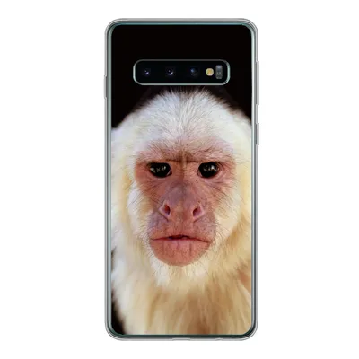 Produktbild von MuchoWow® Handyhülle Schutzhülle Hülle für Samsung Galaxy S10 Affe - Fell - Schwarz Silikon Softcase Handy Hülle - Handytasche