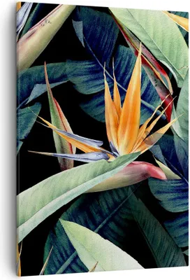Produktbild von Bild auf Leinwand - Leinwandbild - Einteilig - Pflanze Tropisch Blume - 50x70cm - Wand Bild - Wanddeko - Wandbilder - Leinwanddruck - Wanddekoration - Leinwand bilder - Wandbild - PA50x70-5093