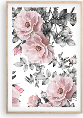Produktbild von Gerahmtes Poster - Rahmen in heller Eiche - Blumen Blätter Pflanze Rose - 61x91,5 cm - Wand Bild - Wanddeko - Wandbilder - Wandposter - Bilderrahmen - Bilder - Kunstdruck - Wandbild - P2NPA61x91-2952