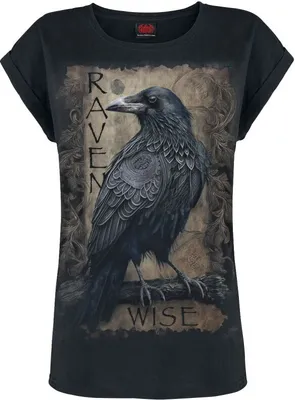 Produktbild von Spiral T-Shirt Damen Raven Wise schwarz Gothic, Rockwear 100% Baumwolle L