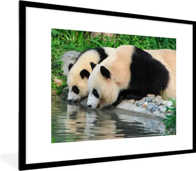 Produktbild von MuchoWow® MuchoWow® Gerahmtes Poster Panda - Steine - Wasser - Trinken 80x60 cm - Poster mit zchwarzem Bilderrahmen - Schlafzimmer-Dekorationen - Fotoposter