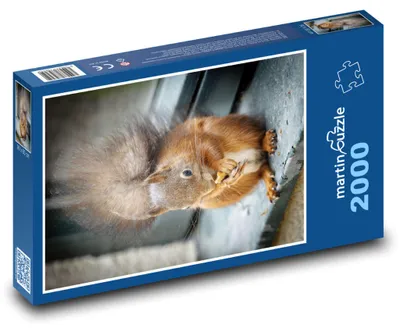 Zdjęcie produktu dla martinpuzzle - Puzzle 2000 - Veverka