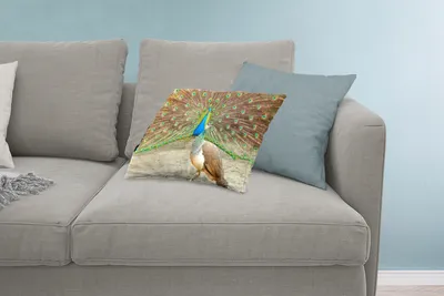 Produktbild von MuchoWow® Zierkissen Sofakissen Wohnzimmer Dekokissen 60x40 cm Pfaue - Vögel - Federn - Kopfkissen - Polster mit Foto