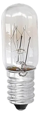 A close-up studio shot of a small incandescent light bulb with a screw base.