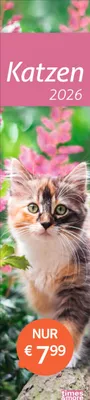 Produktbild von times&more Katzen Langplaner 2026