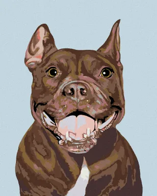 Produktbild von Zuty - Malen nach Zahlen - PITBULL, 40x50 cm, ohne Keilrahmen