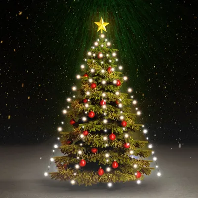 Immagine prodotto di The Living Store Rete luminosa per albero di Natale con 210 LED Bianco freddo 210 cm