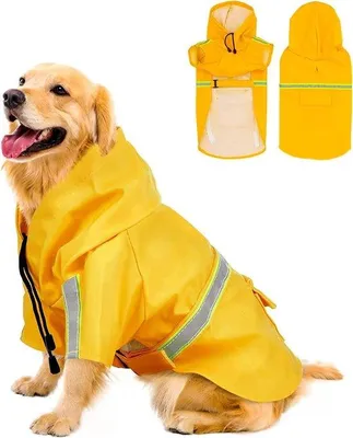 Productafbeelding van Hondenregenjas – Maat L – Waterdicht en ademend – Lichtgewicht hondenjas met capuchon – Reflecterende strepen – Geschikt voor honden van 6–10 kg