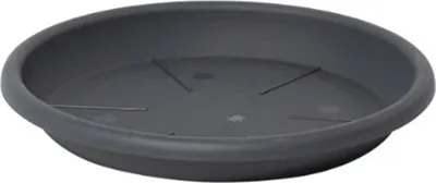 Produktbild von Dehner Blumentopf-Untersetzer Eolo, Ø 65 cm, Höhe 8.6 cm, Kunststoff, anthrazit