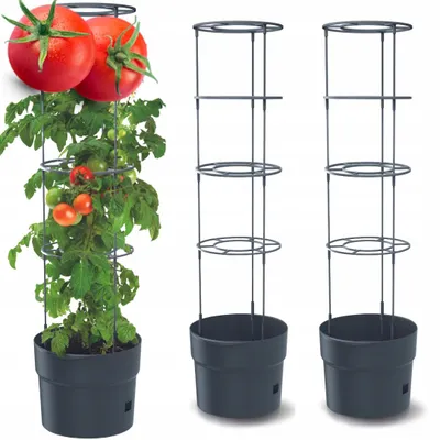 Produktbild von DTU24 2er-Set Tomatentopf Kletterpflanzentopf mit Unterbewässerung