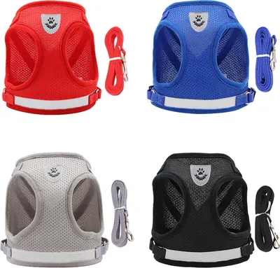 Obrázek produktu pro Sada postroje a vodítka pro psy, reflexní, nastavitelná síťovaná vesta pro malé psy, štěňata, kočky