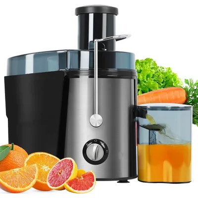 Produktbild von Entsafter für Obst und Gemüse, 800W, 2 Geschwindigkeitsstufen, 500ml Auffangbehälter, vitaminreiche Säfte, Edelstahl elektrische Saftpresse Juicer