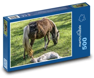 Produktbild von martinpuzzle - Puzzle 500 Teile - Stute - Fohlen