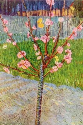 Produktbild von Vincent Van Gogh Kunstdruck Bild - Blühender Pfirsichbaum, 1888 (120 x 80 cm)