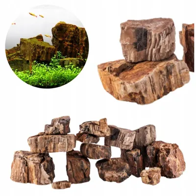 Produktbild von Aquarium Steine Skamieniałes Holz Set 24 kg, Naturdeko in Grau für Aquascaping, zum Gestalten von Höhlen, Strukturen und Blickfängen