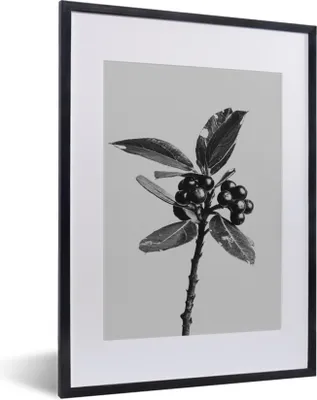 Produktbild von MuchoWow® MuchoWow® Gerahmtes Poster Beeren - Zweig - Schwarz - Weiß 30x40 cm - Poster mit zchwarzem Bilderrahmen - Wandposter Schlafzimmer