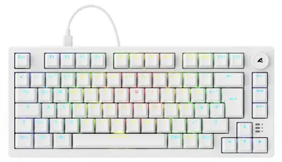 Produktbild von Sharkoon SGK25, 75%, Kabelgebunden, USB, QWERTZ, RGB-LED, Weiß