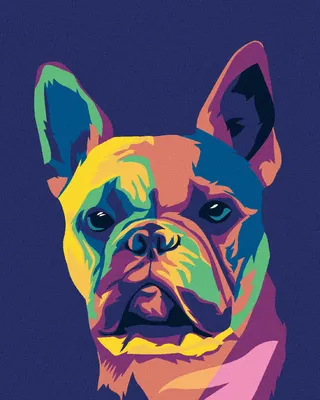 Produktbild von Zuty - Malen nach Zahlen - POP-ART BULLDOGGE, 40x50 cm, mit Keilrahmen (bereits gespannt)