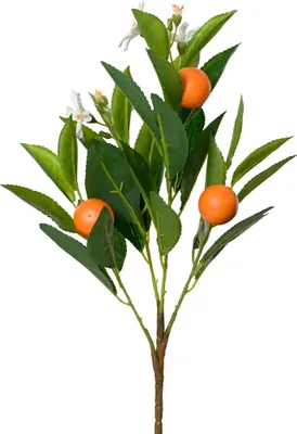 Produktbild von Künstlicher Zweig Mandarinen Baum mit Blüten 19x58cm Orange Weiß Grün