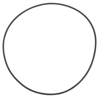 Produktbild von Fluval Filterdeckel O-Ring für Fluval FX5/FX6