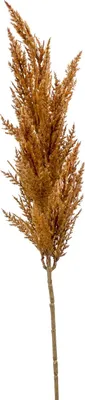 Produktbild von artplants.de Dekozweig Pampas Gras Rispe BATERNO, braun, 90cm - Kunst Pampasgras/Künstliches Pampasgras