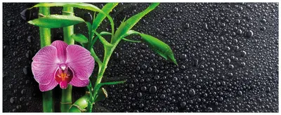 Produktbild von Wallario Wandbild aus Acryl, 200 x 80 cm, freischwebende Optik - Bambus und pinke Orchidee auf schwarzem Glas mit Regentropfen