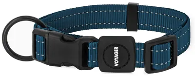 Image de Meilleurs accessoires pour animaux : Collier réfléchissant pour chien, longueur réglable, robuste