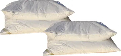 Produktbild von 2 Stück Hofmann Oberbetten Daunenbetten Ballonbetten 135x200 1500g 100% Daunen superwarm