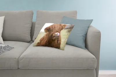 Produktbild von MuchoWow® Zierkissen Sofakissen Wohnzimmer Dekokissen 60x40 cm Schottisches Hochlandrind - Braun - Kuh - Kopfkissen - Polster mit Foto