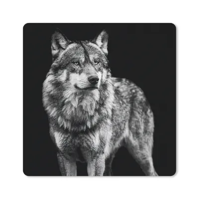 Produktbild von MuchoWow® Mauspad Mousepad Wolf - Tiere - Wild - Schwarz - Weiß 30x30 cm - Mousepads - Maus Mat - Pad - Mausunterlage - Gaming
