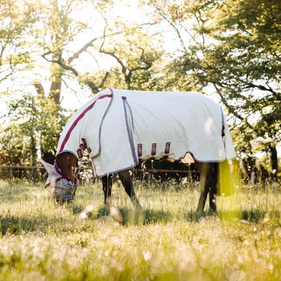 Image de Horseware Rambo Optimo Sup Summer Sheet - Taille 115