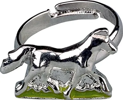 Produktbild von Spiegelburg Sammeldöschen mit Ring oder Armband Pferdefreunde, sort.
