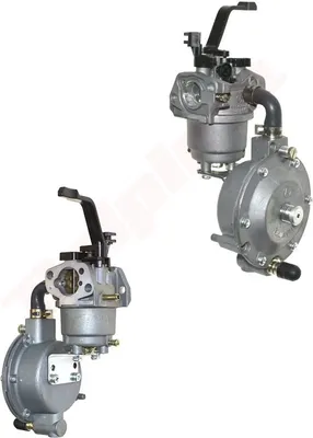 Produktbild von Vergaser Für Honda Gx160 , Gx200 19Mm Lpg B