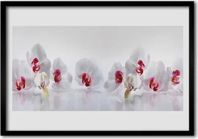 Produktbild von Bild 100x70 MDF-Rahmen Wandkunst Blumen Pflanzen Natur