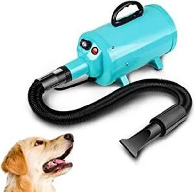 A turquoise pet dryer with a black hose and nozzle is shown next to a golden retriever dog.