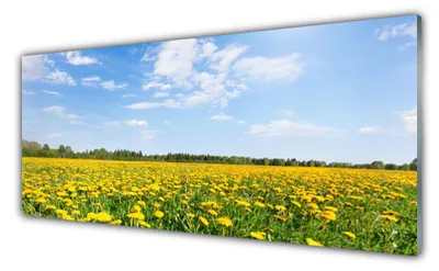 Produktbild von Acrylglasbilder 125x50 Wandbild Druck Löwenzahn Wiese Landschaft