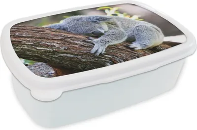 Produktbild von KitchenYeah® Lunchbox Brotzeit Brotdose 17x11 cm Koala - Baum - Schlaf - Kinder - Jungen - Mädchen Kinder Brotzeitdose - Lunch Box - Kinder - Sandwich-Box - Schulbox - Lunch Boxen