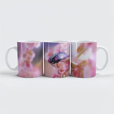 Produktbild von raxxa Premium-Tasse "Colorful"